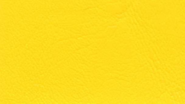 VYSB2 146Q - SEABROOK II - D Action Yellow Quilted