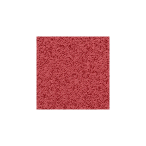 First Class Leather