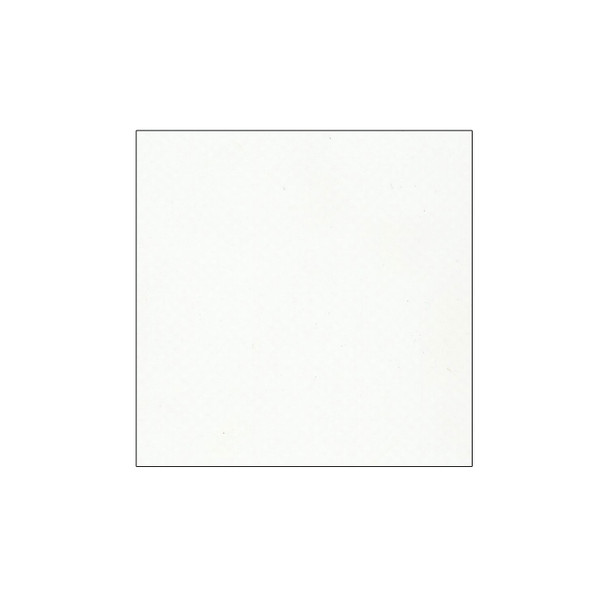 Alpha - Tarp/Cover Material (61" Wide) 18.5oz - VYT1802A - White
