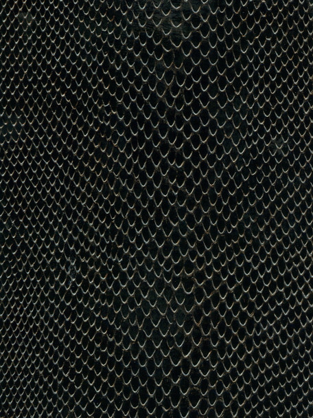 Black Moccasin Vinyl (54" Wide) - Everglades Exotic Automotive Upholstery (VYEV0603)