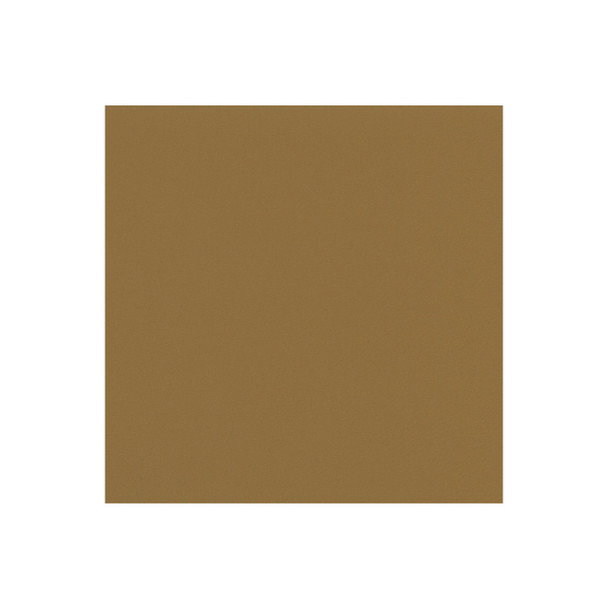 Zenith - Buckskin - VYZV2010