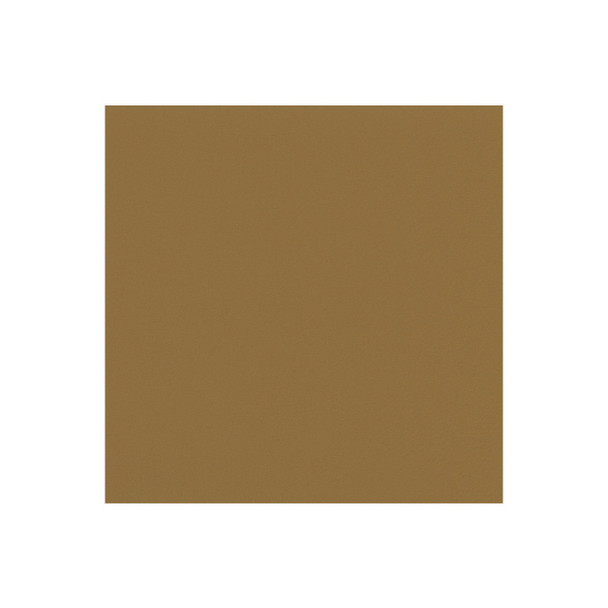 Zenith - Buckskin - VYZV2010