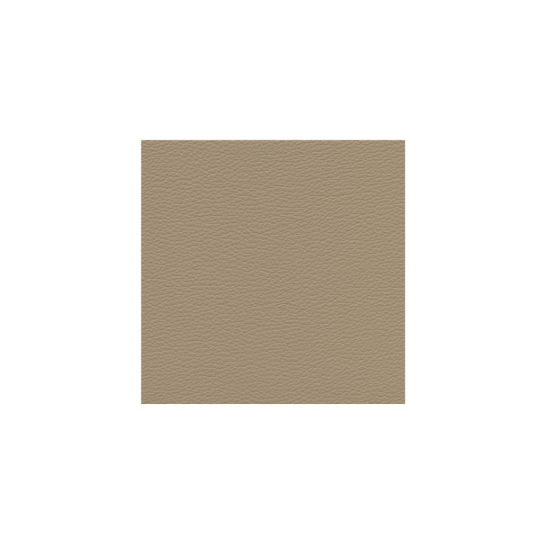 Zenith - Ivory - VYZV2017