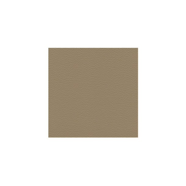 Zenith - Beige - VYZV2018