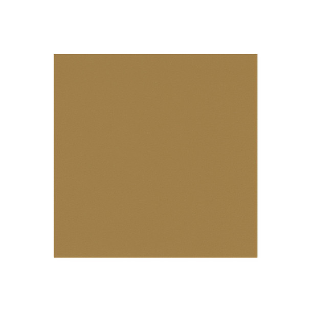 Zenith - Champagne - VYZV2022