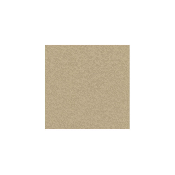 Zenith - Medium Creme - VYZV2030