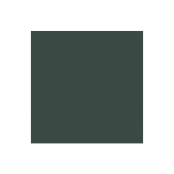 Zenith - Evergreen - VYZV2032