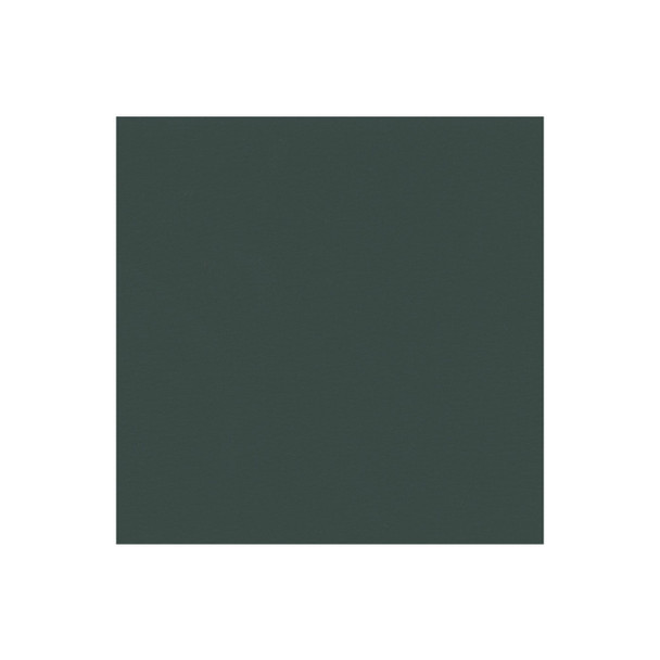 Zenith - Evergreen - VYZV2032