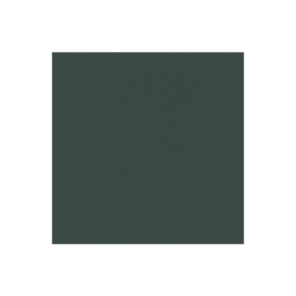 Zenith - Evergreen - VYZV2032