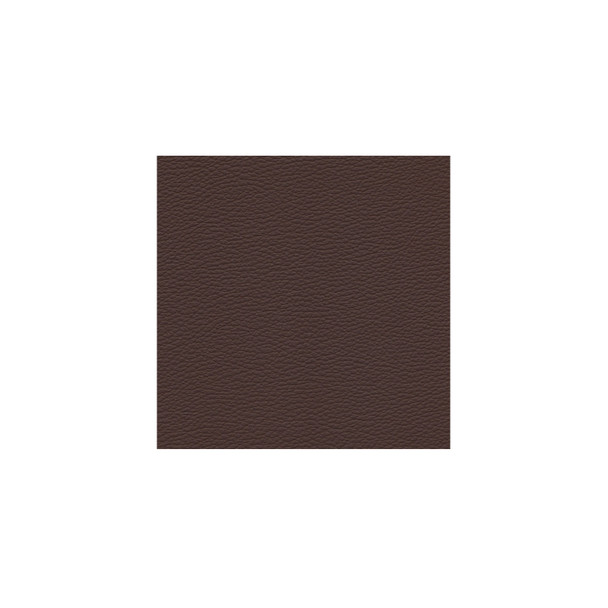 Zenith - Cinnamon - VYZV2033