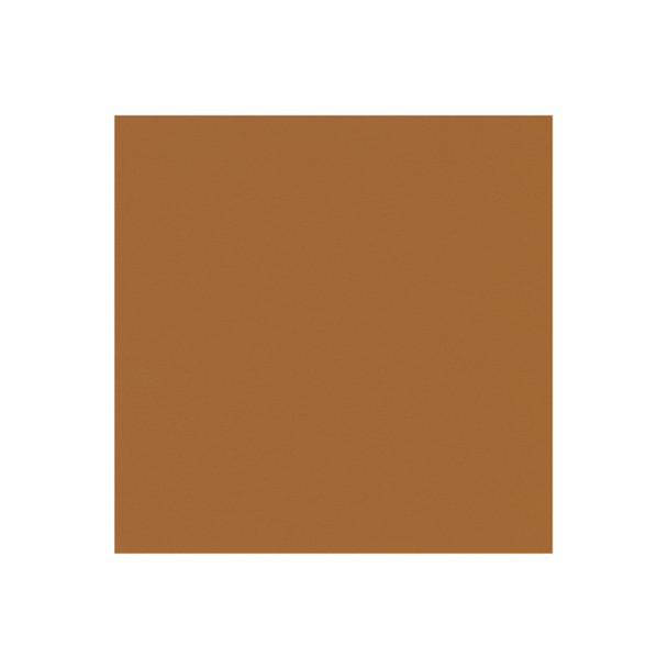 Zenith - Tan - VYZV2044