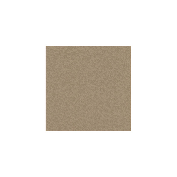 Zenith - Lexus Beige - VYZV2045