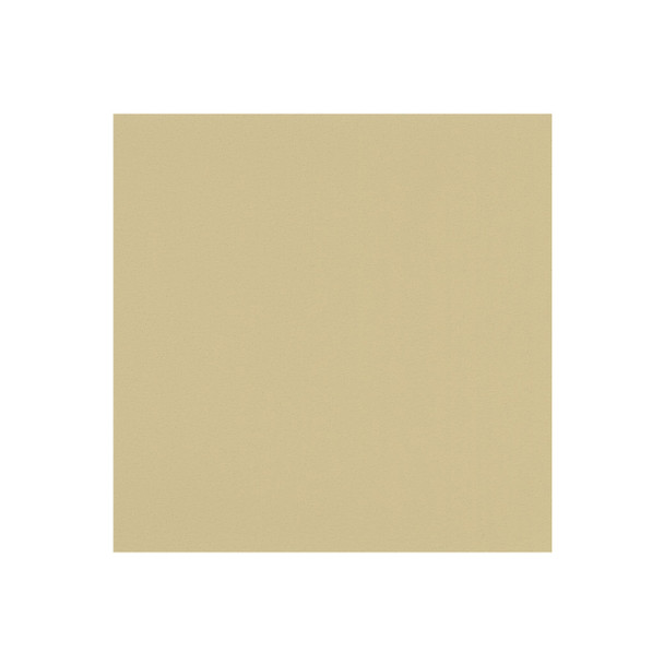 Zenith - Bone - VYZV2050