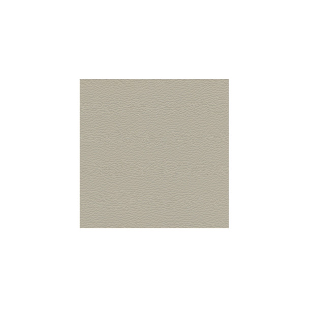 Zenith - Jaguar Ivory - VYZV2034