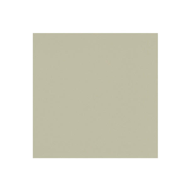 Zenith - Jaguar Ivory - VYZV2034