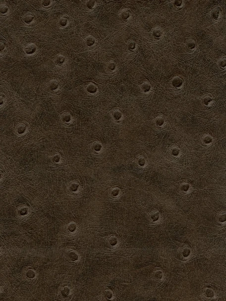 Denali - Dark Brown Ostrich Vinyl (54" Wide) (VLD-48) - Automotive Upholstery (VYAFV48)