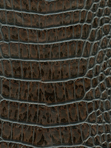VYEV0203__82655.1737656668.386