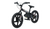 Moose Agroid RS-16 E-Balance Bike