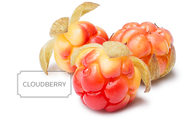 cloudberry1.jpg