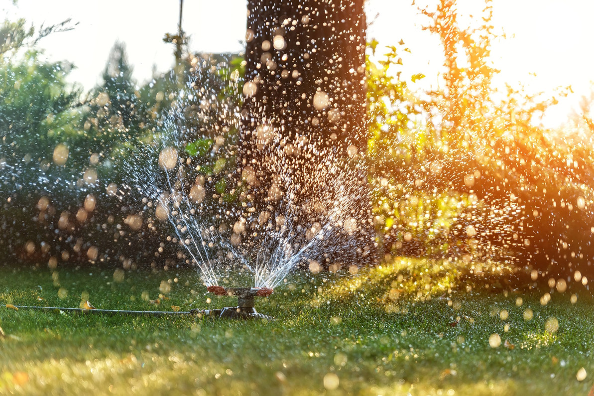 A Guide to Garden Watering Kits for Commercial Landscapers