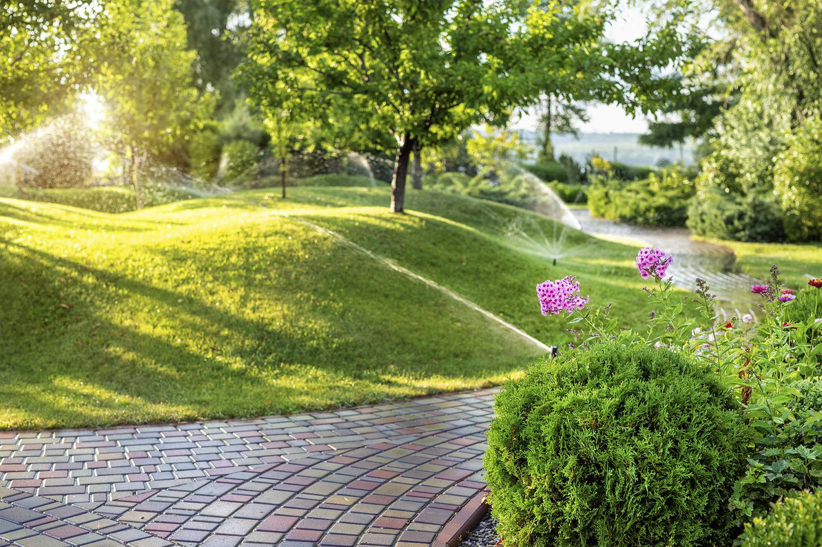 A Step-by-Step Guide to Automated Irrigation System Setup