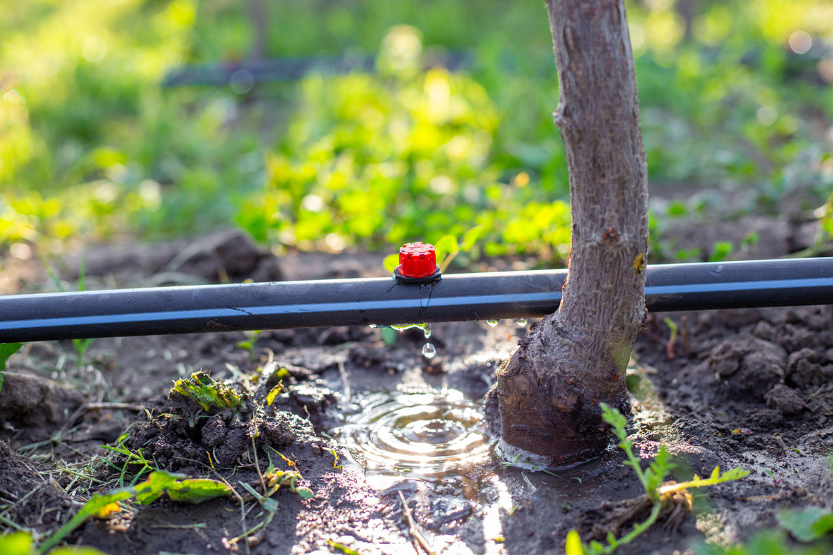 Efficient Watering Solutions for Small Garden Spaces