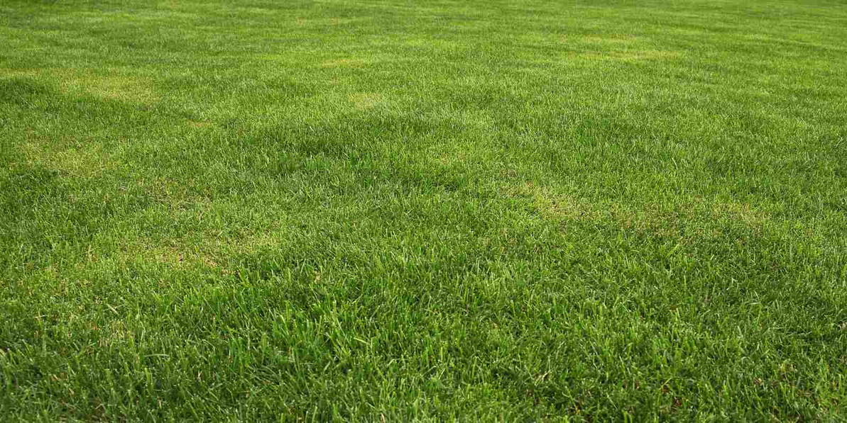 Professional Sports Field Irrigation: What You Need