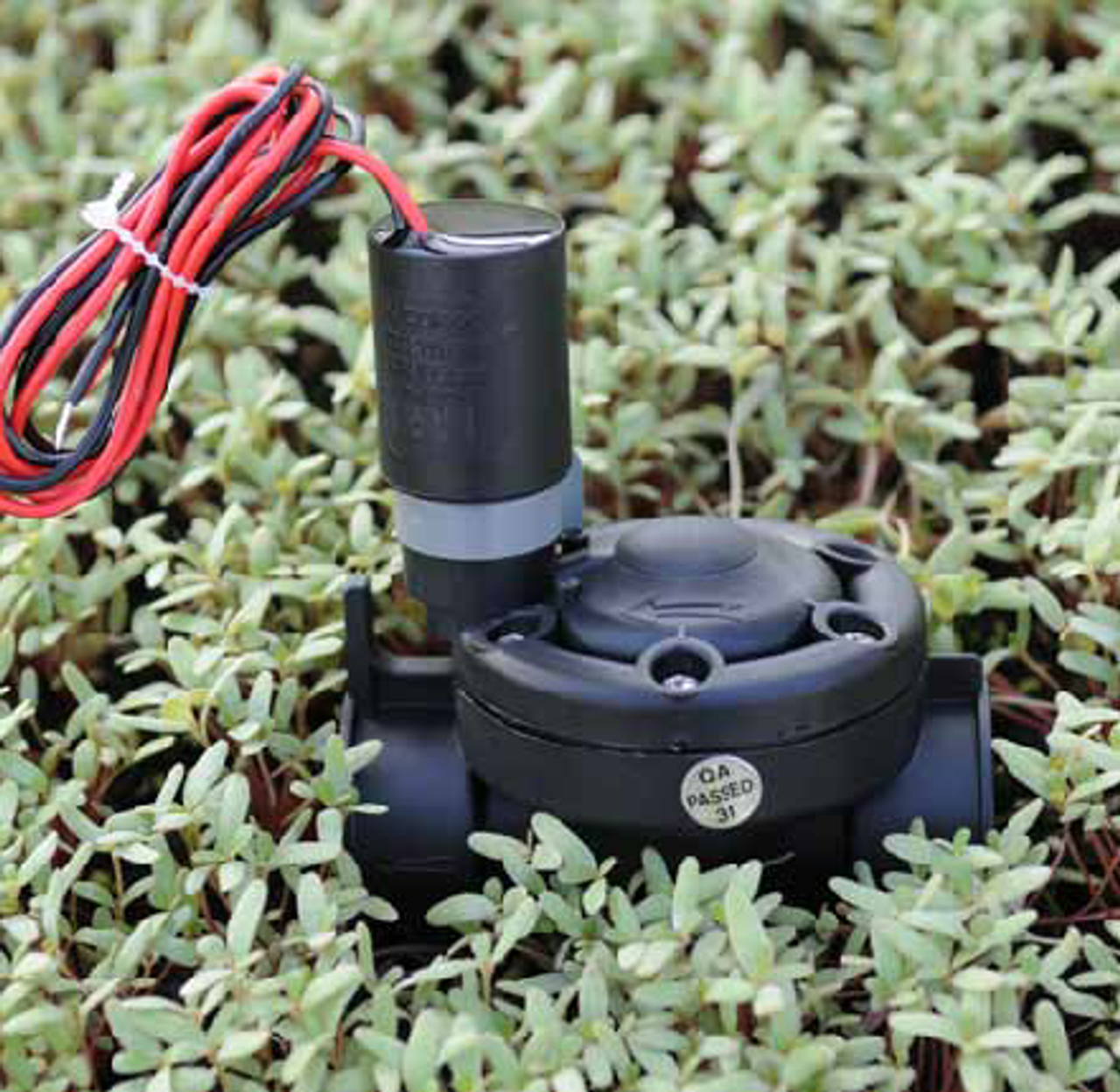 galcon sprinkler timer