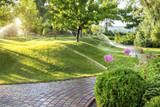 A Step-by-Step Guide to Automated Irrigation System Setup