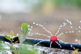 Choosing the Right Irrigation Parts for Your System