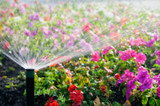 Irrigation Sprinkler Systems: From Simple to Fully-Automated