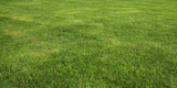 Professional Sports Field Irrigation: What You Need