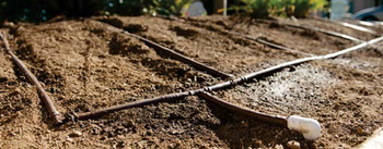 Hunter HDL-PC Pressure Compensated Drip Lines Irrigation