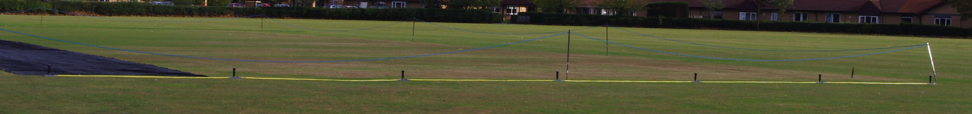 Sprinkler System for one Wicket