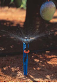 Spray Sprinkler Watering Kit