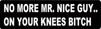 No More Mr. Nice Guy..On Your Knees Bitch Motorcycle Helmet Sticker