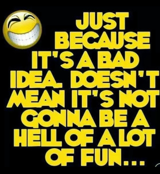 just because it's a bad idea doesn't mean it's not gonna be a hell of a lot of fun shirt just because it's a bad idea doesn't mean it's not gonna be a hell of a lot of fun shirt