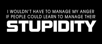I wouldn't Have to manage my anger if people could learn to manage their stupidity Motorcycle Helmet Sticker I wouldn't Have to manage my anger if people could learn to manage their stupidity Motorcycle Helmet Sticker