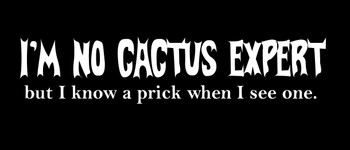 I’m no cactus expert but I know a prick when I see one Motorcycle Helmet Sticker I’m no cactus expert but I know a prick when I see one Motorcycle Helmet Sticker