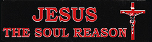 JESUS The Soul Reason Helmet Sticker