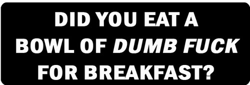 DID YOU EAT A BOWL OF DUMB FUCK FOR BREAKFAST? Motorcycle Helmet Sticker