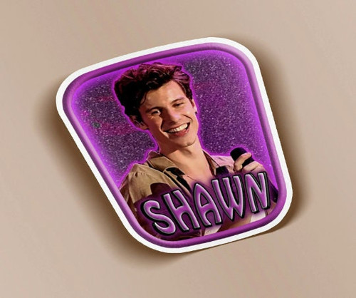 Shawn Mendes Sticker