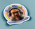 Jack Black Sticker