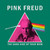Pink Freud Prism T-Shirt