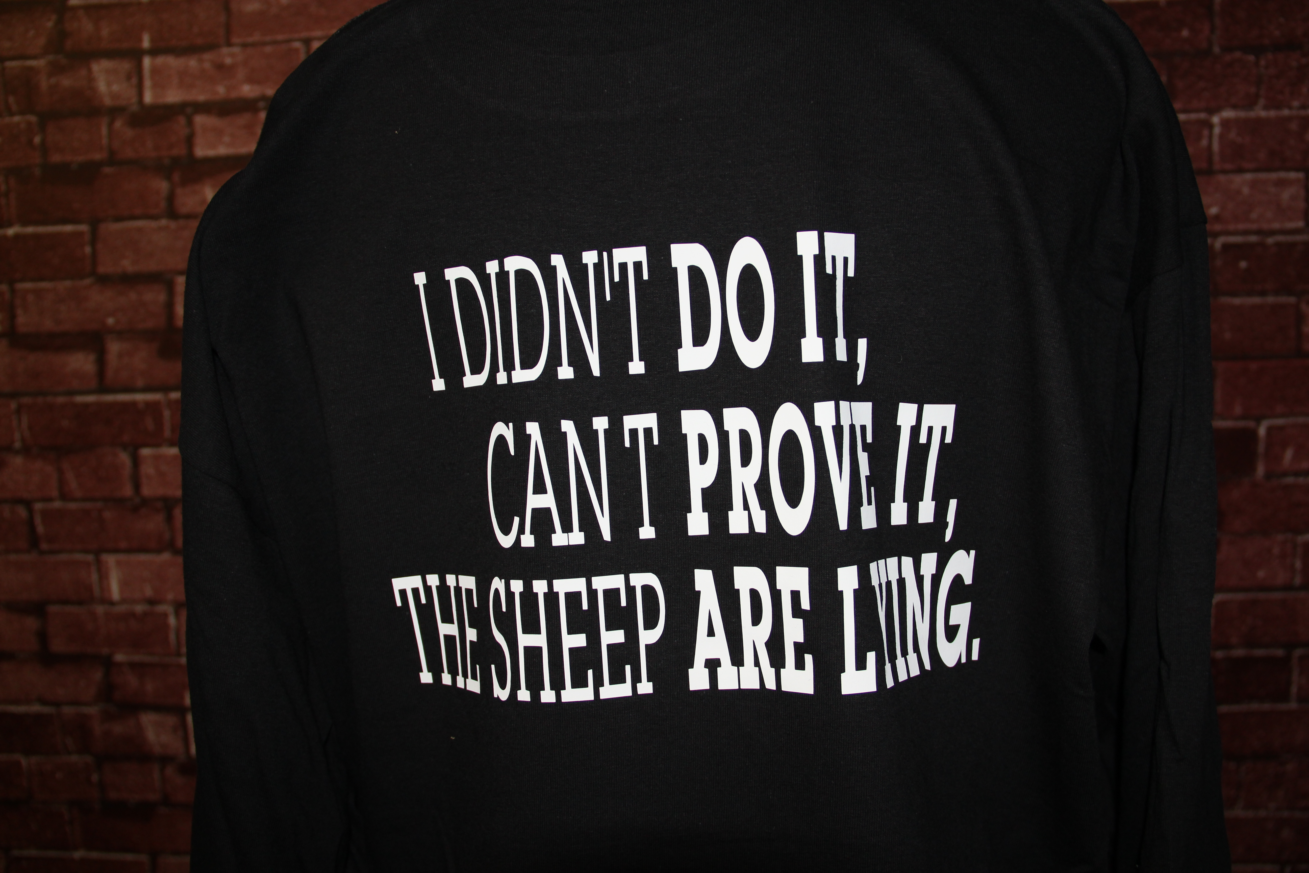 i-didn-t-do-it-you-can-t-prove-it-the-sheep-are-lying.jpg