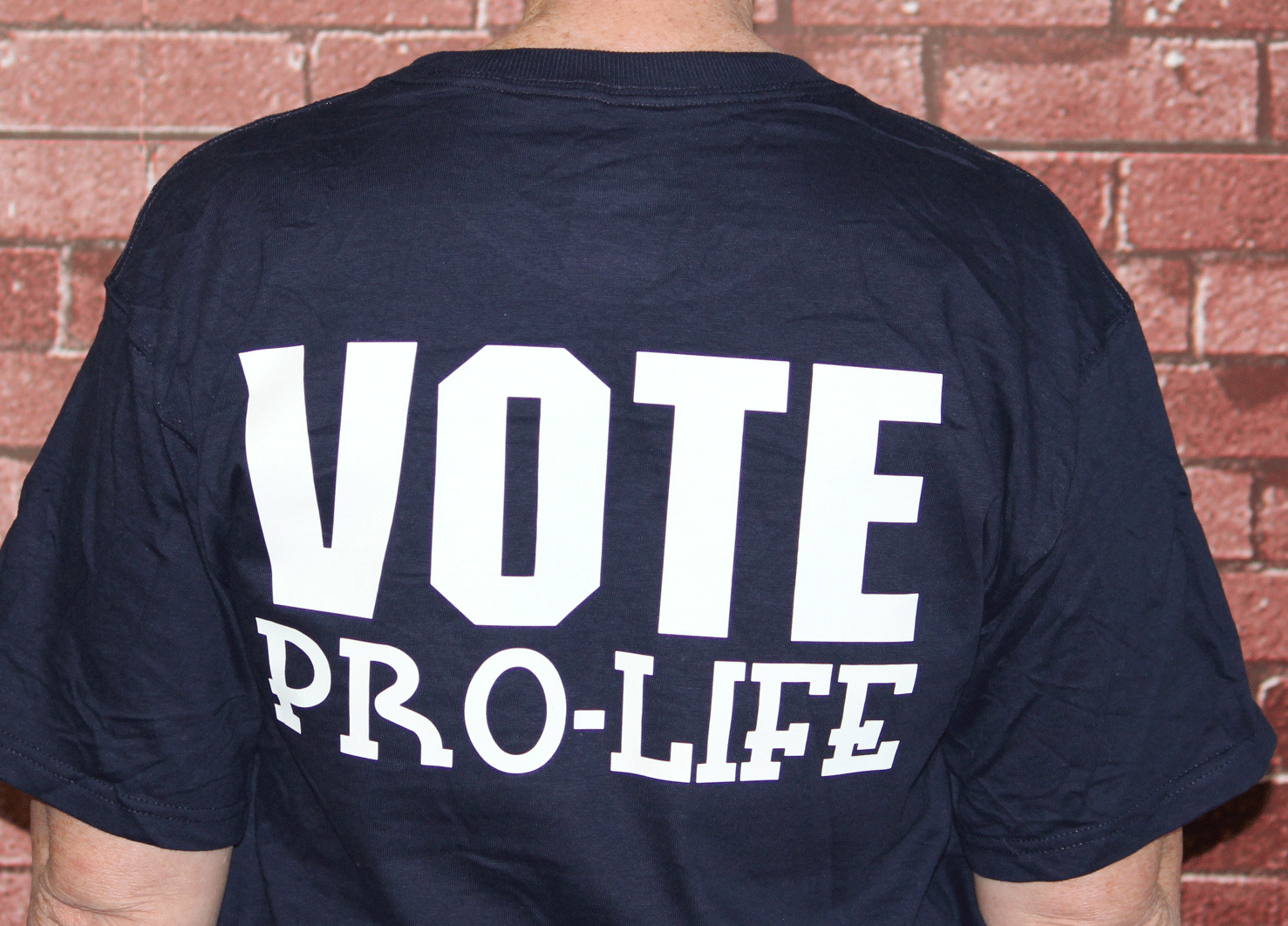 vote-pro-life-tshirt.gif