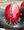 Helmet Spike Strip