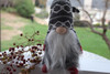 Winter Holiday Plush Gnome with Grey Hat - Handmade