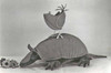 Armadillo and a Bird Cloth Doll Pattern  by Colette Wolff