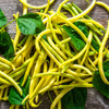 Organic Golden Wax Bush Bean (Phaseolus vulgaris)